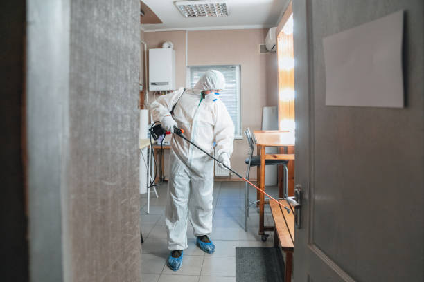 Best Post-Construction Mold Inspection  in Ironwood, MI
