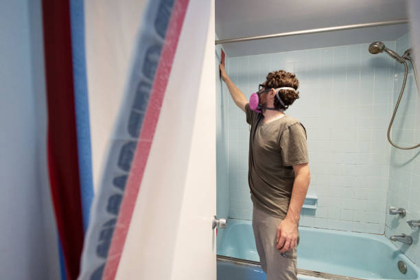 Trusted Ironwood, MI Mold Removal Experts