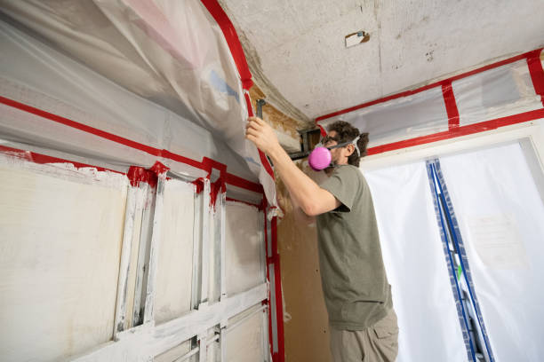 Best Mold Prevention Services  in Ironwood, MI