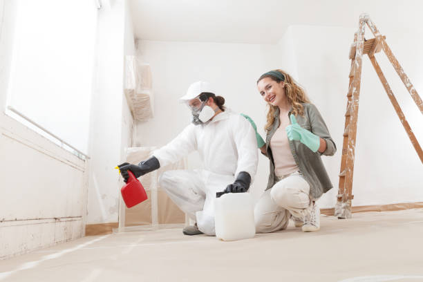 Best Emergency Mold Remediation  in Ironwood, MI